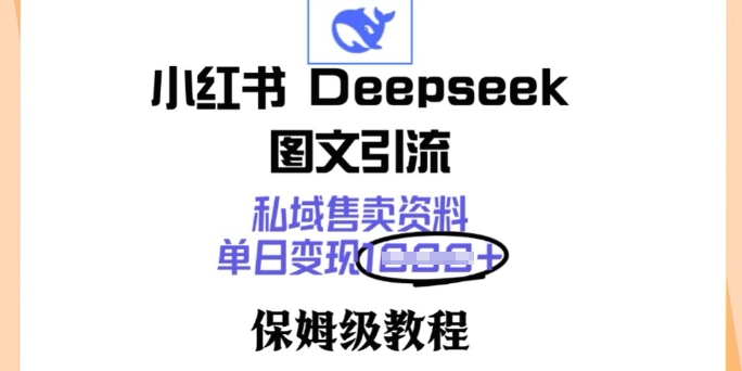 小红书Deepseek图文引流，私域售卖资料，单日变现多张，保姆级教程-中创资源网