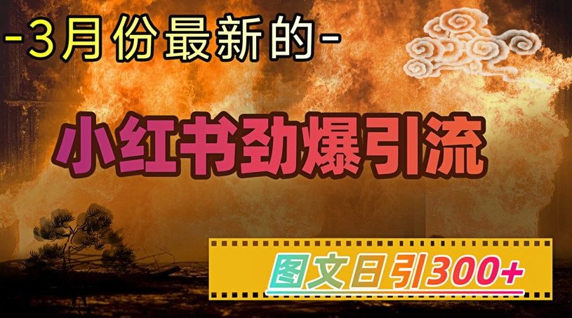 小红书超劲爆引流手段，图文日引300+轻松变现1W-中创资源网