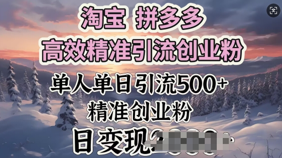 淘宝拼多多高效精准引流创业粉，单人单日引流500+创业粉，日变现多张-中创资源网