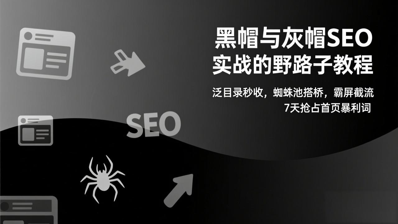黑帽与灰帽SEO实战的野路子教程：泛目录秒收，蜘蛛池搭桥，霸屏截流，7天抢占首页暴利词-中创资源网