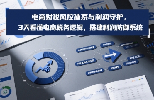 电商财税风控体系与利润守护，3天看懂电商税务逻辑，搭建利润防御系统-中创资源网