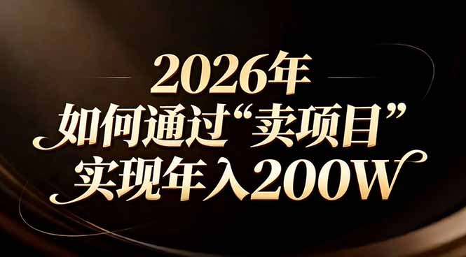 站在2026年的十字路口：一个普通人如何通过卖项目实现年入200万-中创资源网