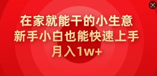 在家就能干的小生意，新手小白也能快速上手，月入1w-中创资源网