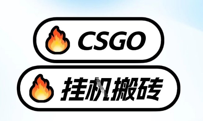 真全网独家CSGO挂G，最新玩法,单日捡漏1K+，不用电脑，不用打游戏【揭秘】-中创资源网