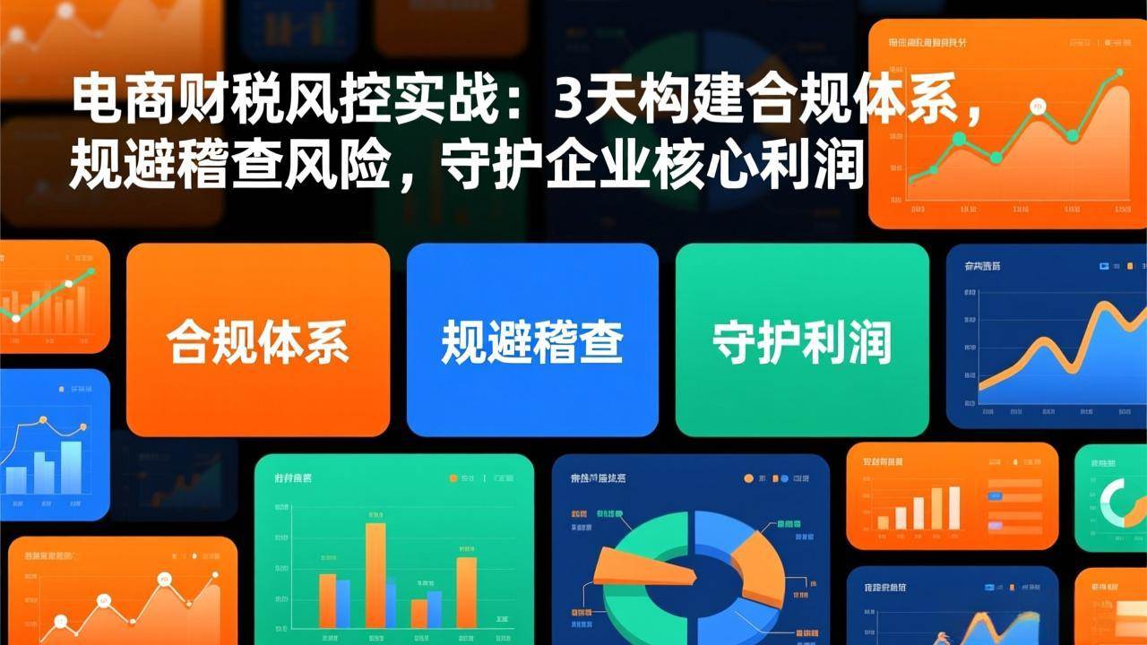 （17197期）电商财税风控实战：3天构建合规体系，规避稽查风险，守护企业核心利润-中创资源网