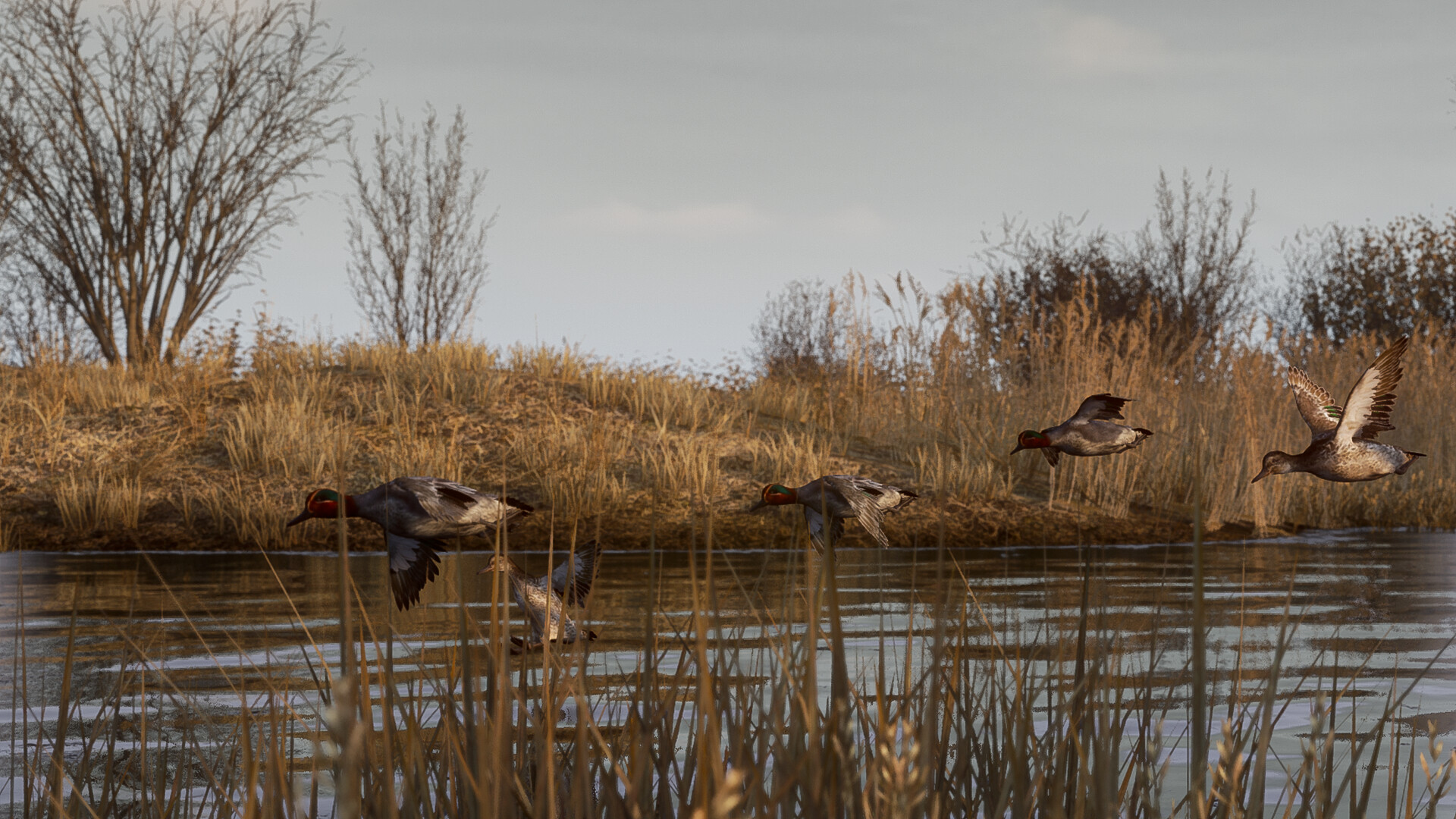 BULT：狩猎模拟器/BULT: Hunting simulator-中创资源网