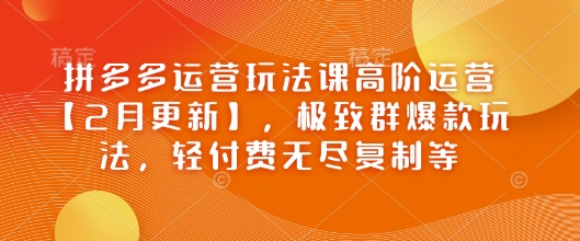 拼多多运营玩法课高阶运营【2月更新】，极致群爆款玩法，轻付费无尽复制等-中创资源网
